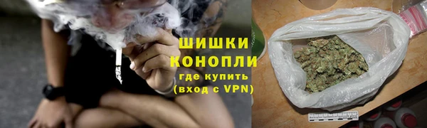 PSILOCYBIN Богданович