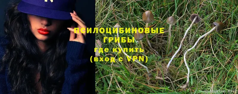 Псилоцибиновые грибы Magic Shrooms  хочу наркоту  Лесозаводск 